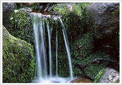 ８メートルの滝を中心に４つの滝を楽しめる名主の滝公園