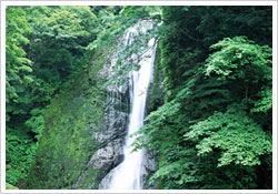箕面滝という高さ３３メートルの滝の音も涼しい避暑スポット
